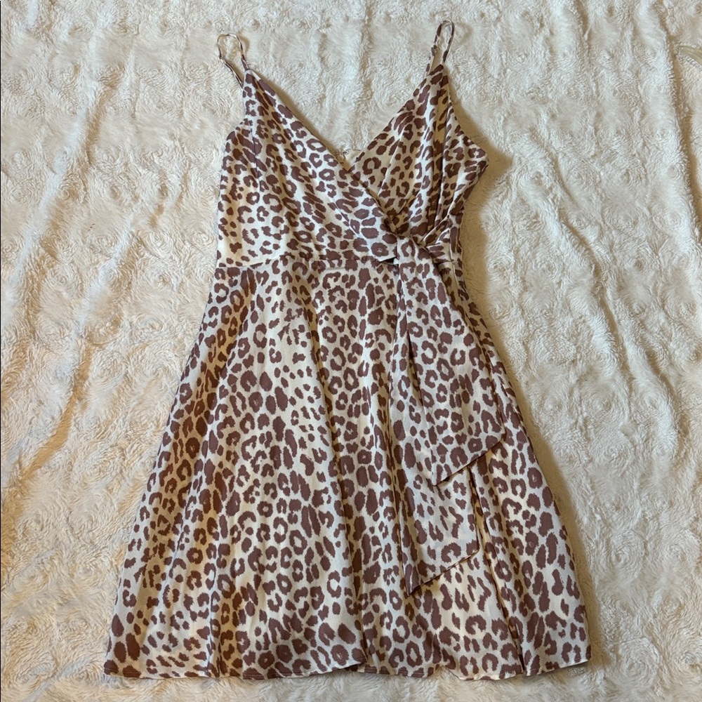 Express Leopard Print Satin Dress